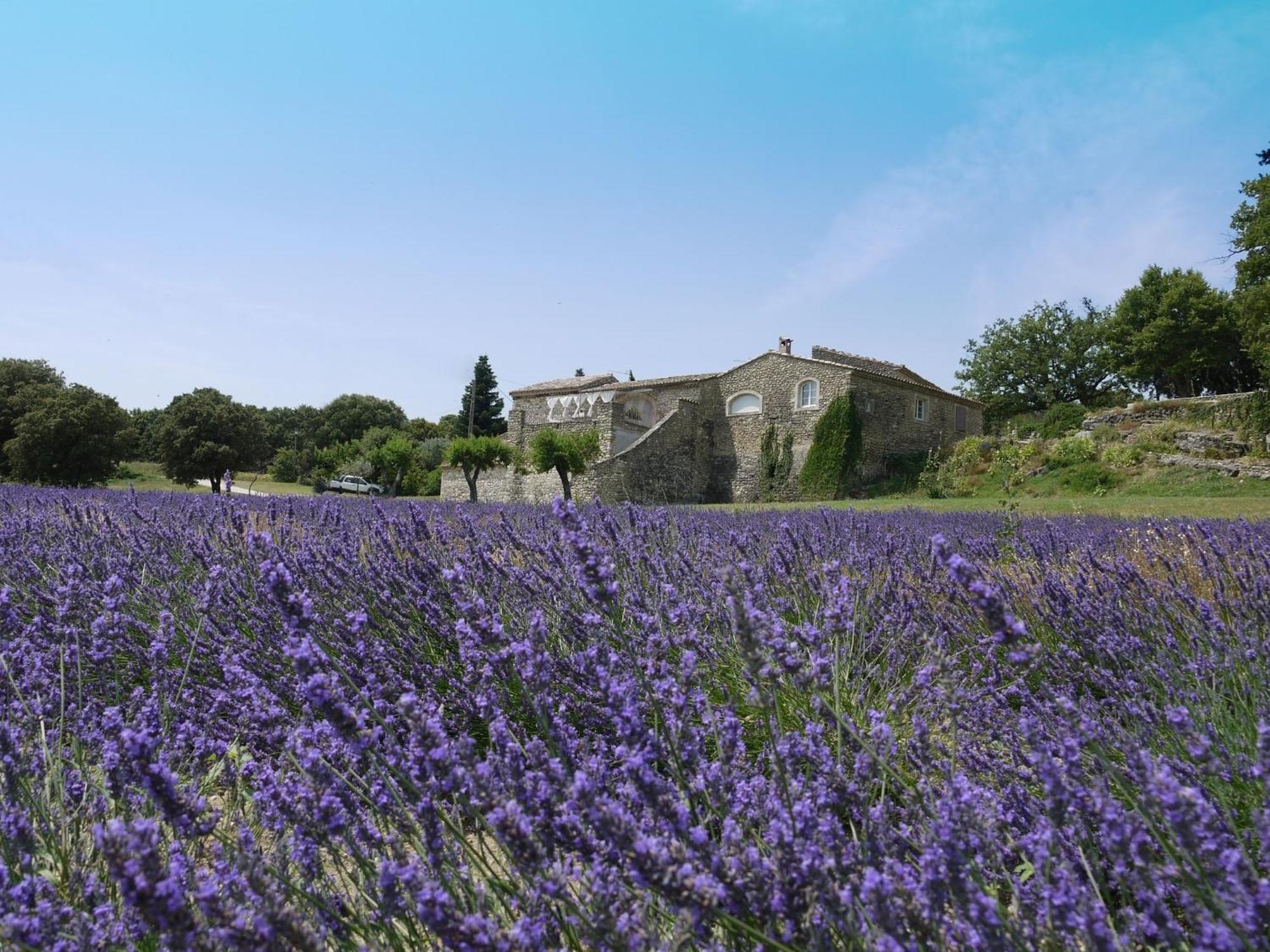 ホテル La Ferme Les Eybrachas Réauville エクステリア 写真