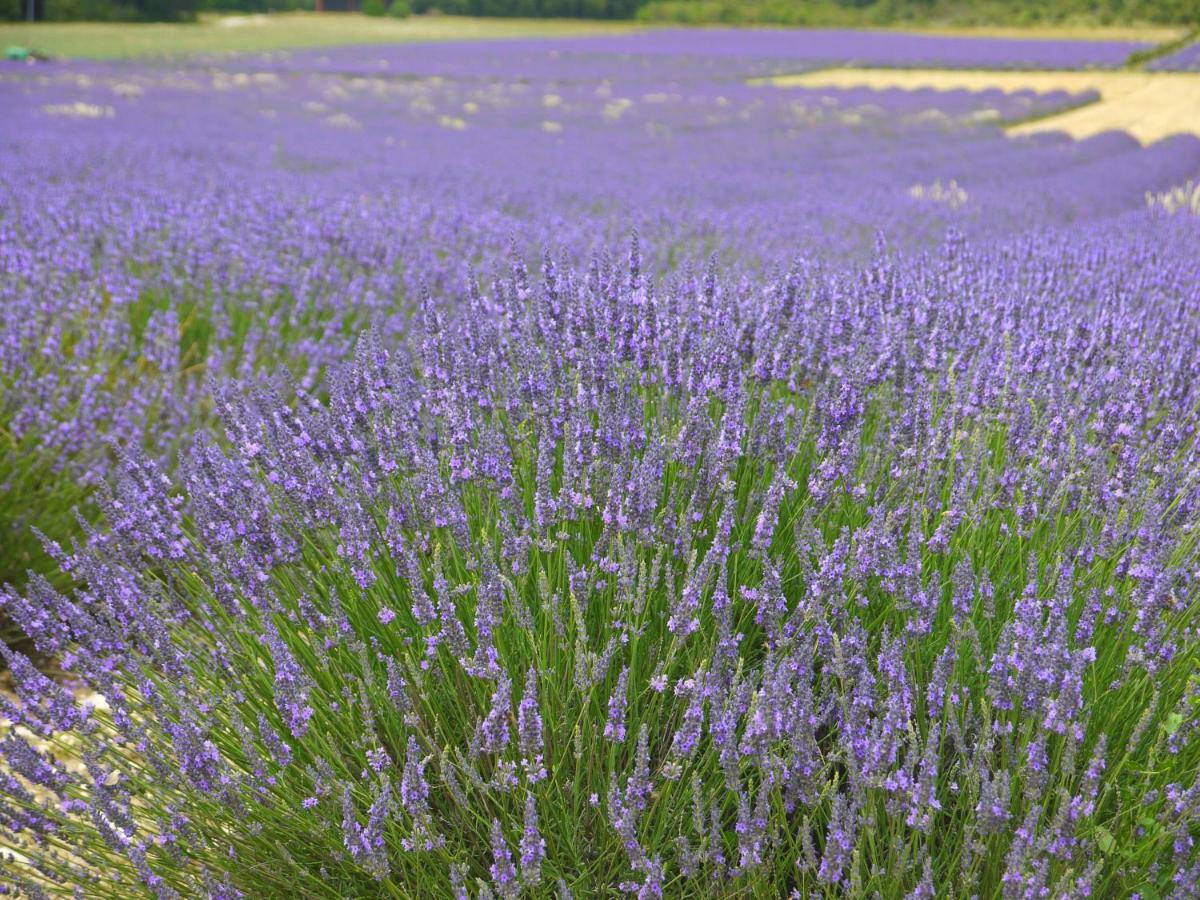 ホテル La Ferme Les Eybrachas Réauville エクステリア 写真